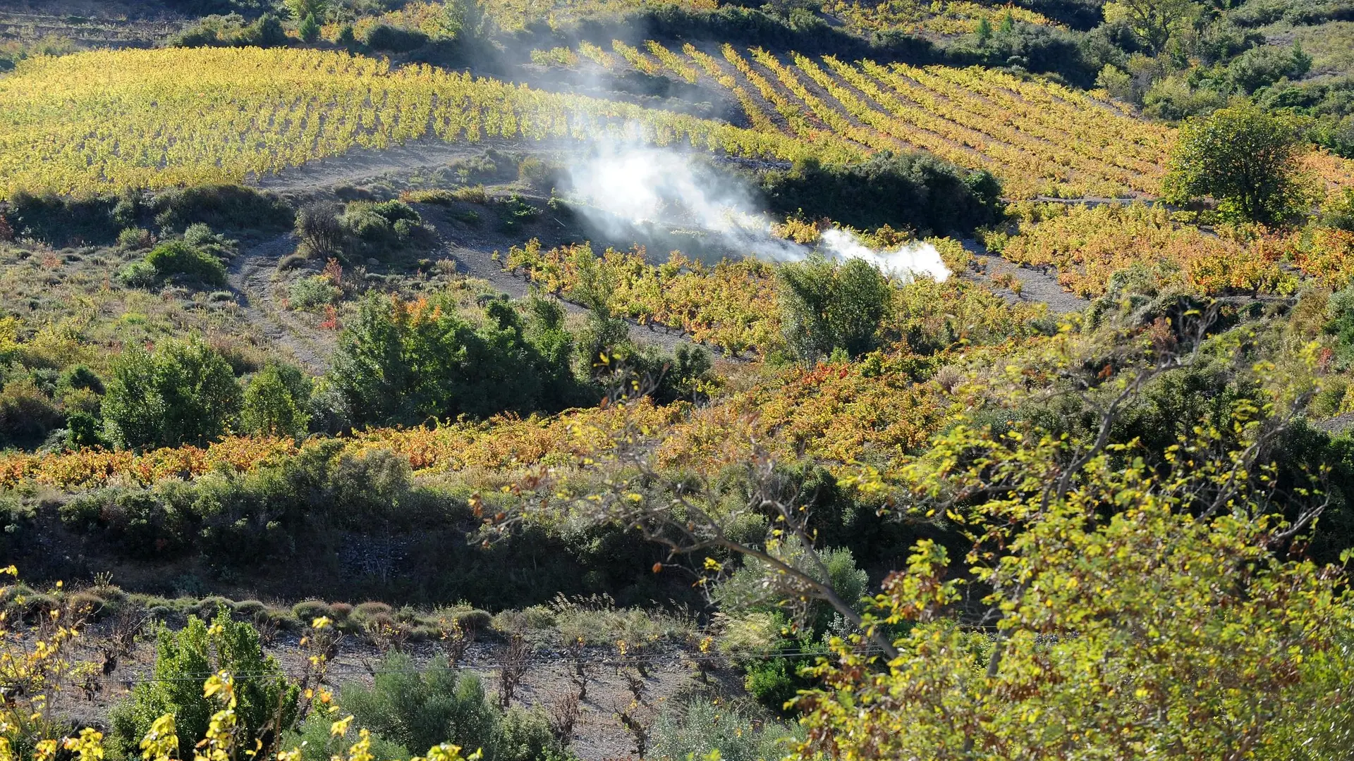 vue extérieure dans gîte coeur vignoble_5