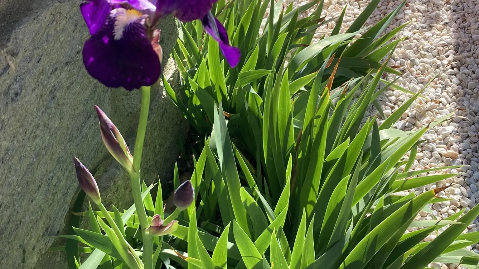 2468CBF4-C8A8-4A31-8310-5A1DD7712FA7_44