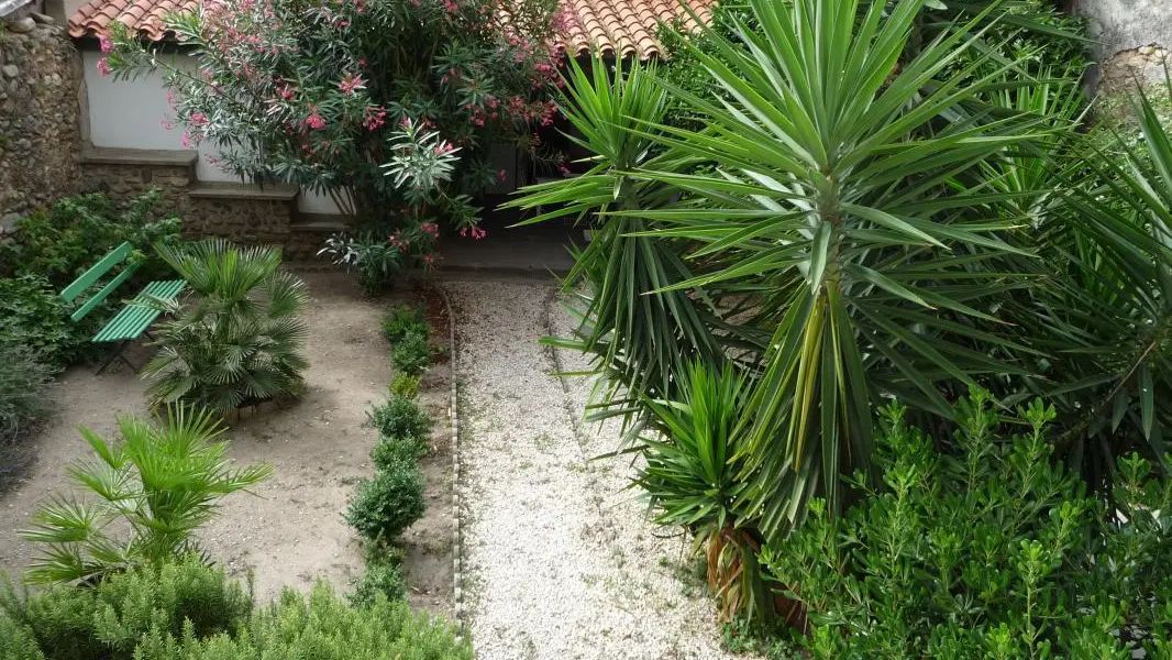 Photo_1_1