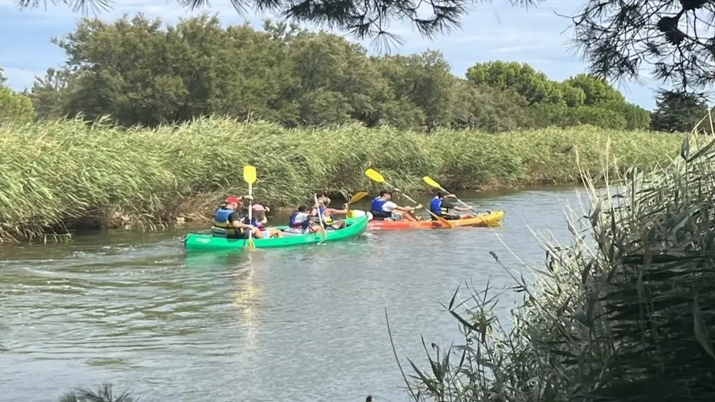 TORREILLES LOI BASE NAUTIQUE PARROUDE