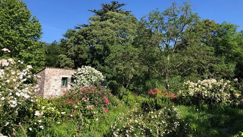 Le gîte au coeur de la nature