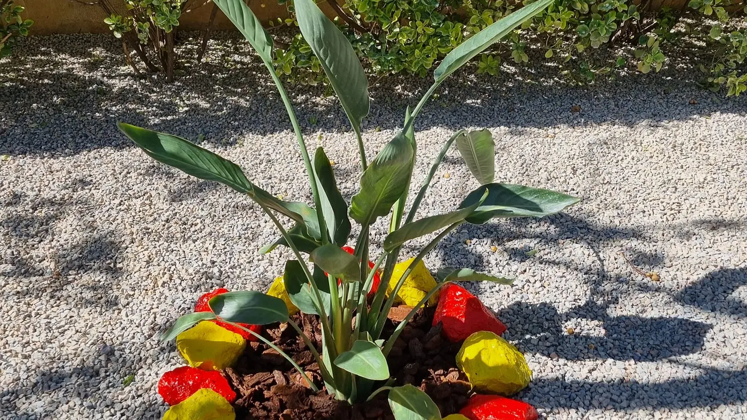 Aspres Thuir Casa l'Alzina