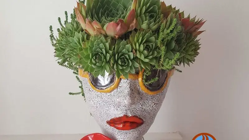 kestadanlatet 1 (2) mazier