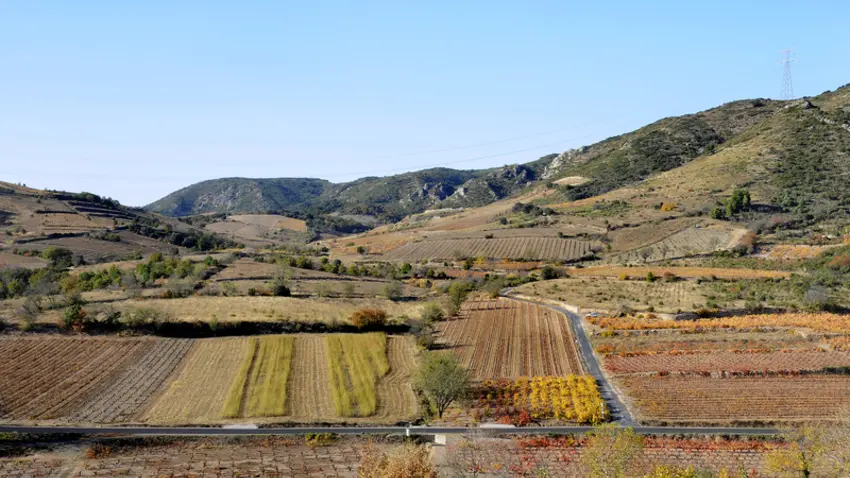 la_tour_de_france_vignes_sous_le_village