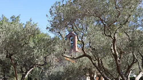 La Pietat parmi les Oliviers_4