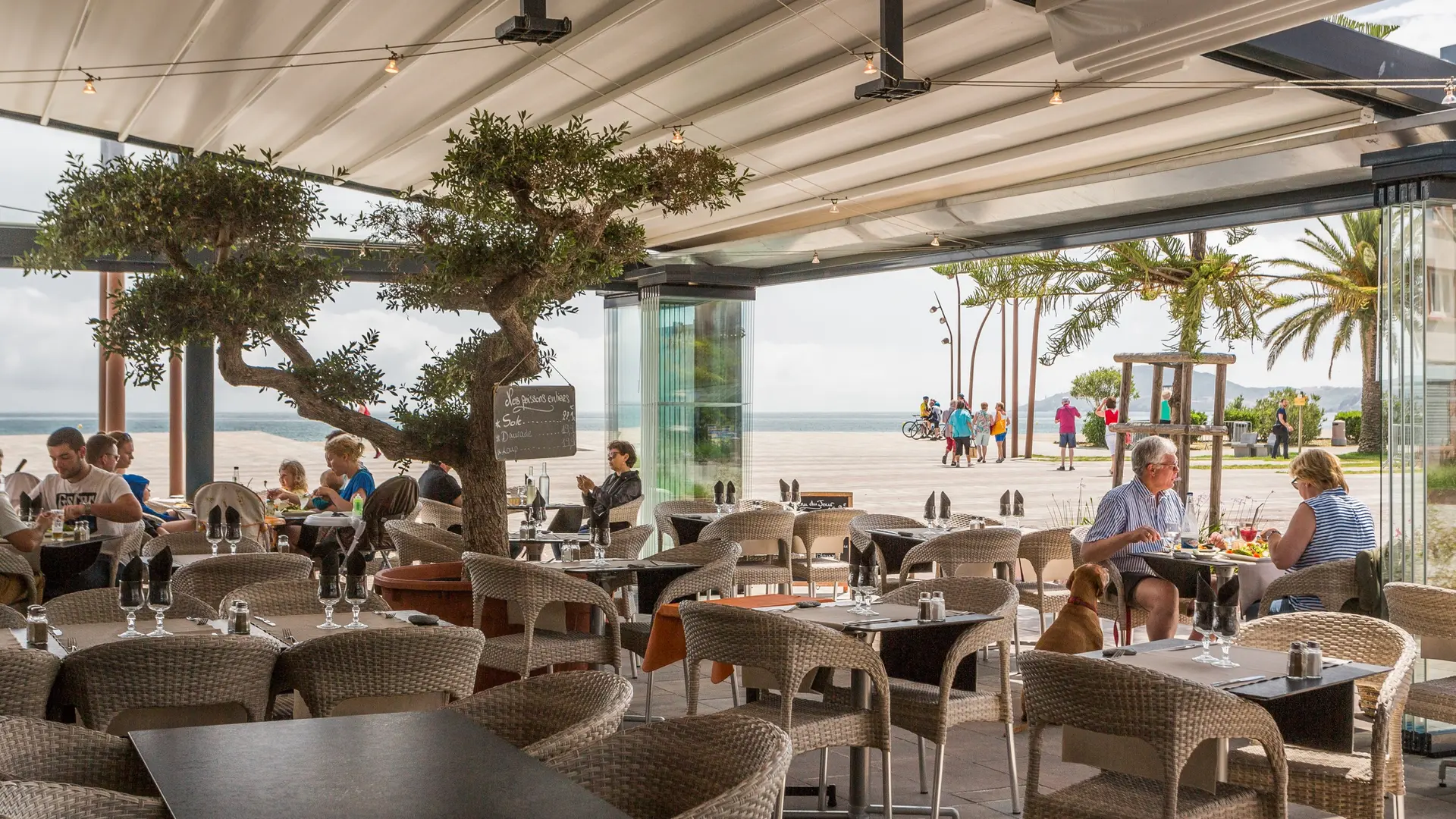 la_reserve_argeles_JcMilhet.16.05.26.12.27.47