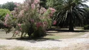 STE MARIE CAMPING CHARDONNERETS