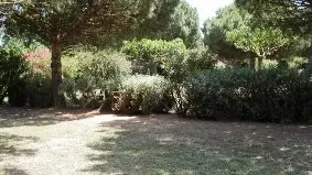 STE MARIE CAMPING CHARDONNERETS