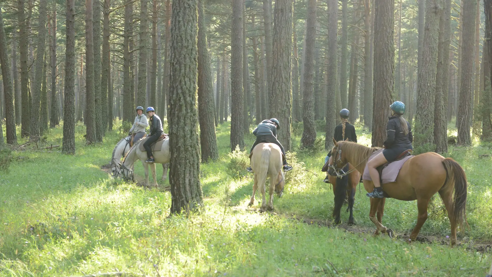 lescrinieresblondes2