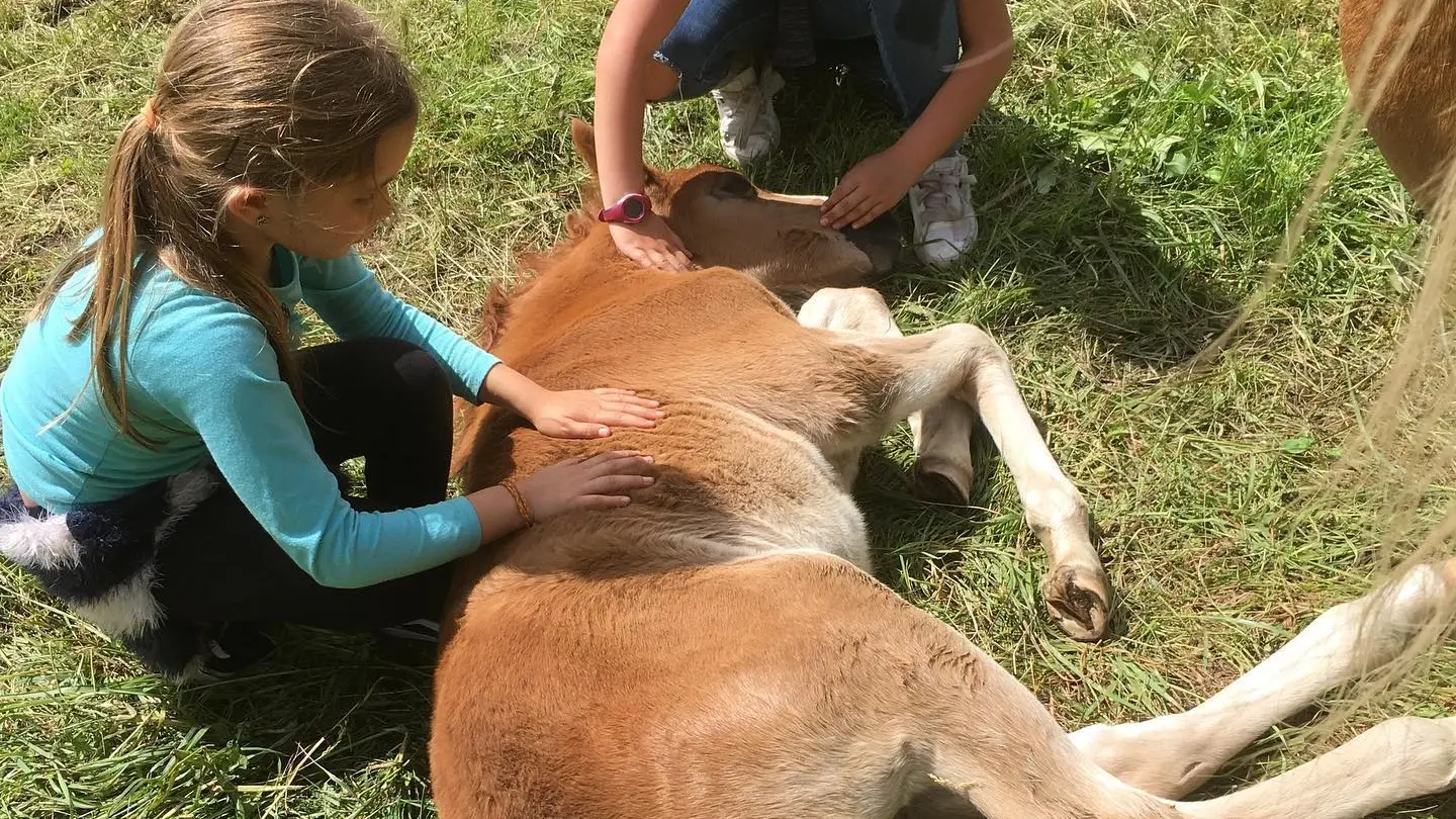 lescrinieresblondes4