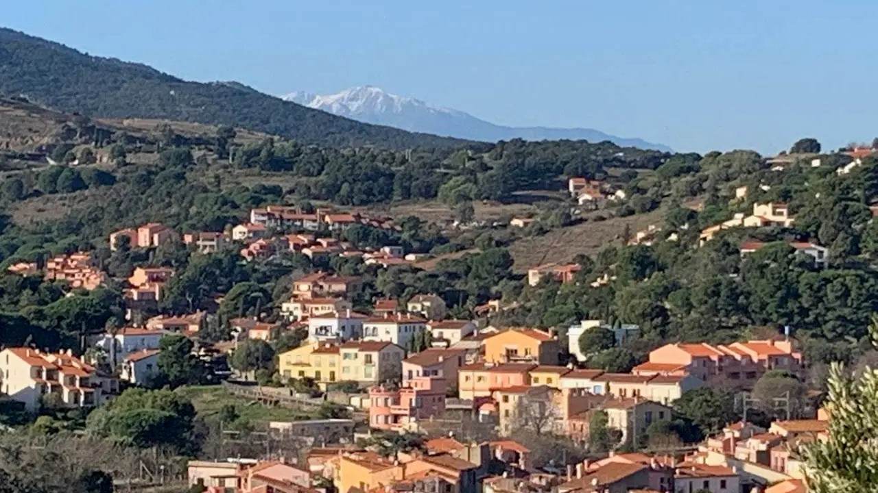 location-el-mayul-collioure-14-2