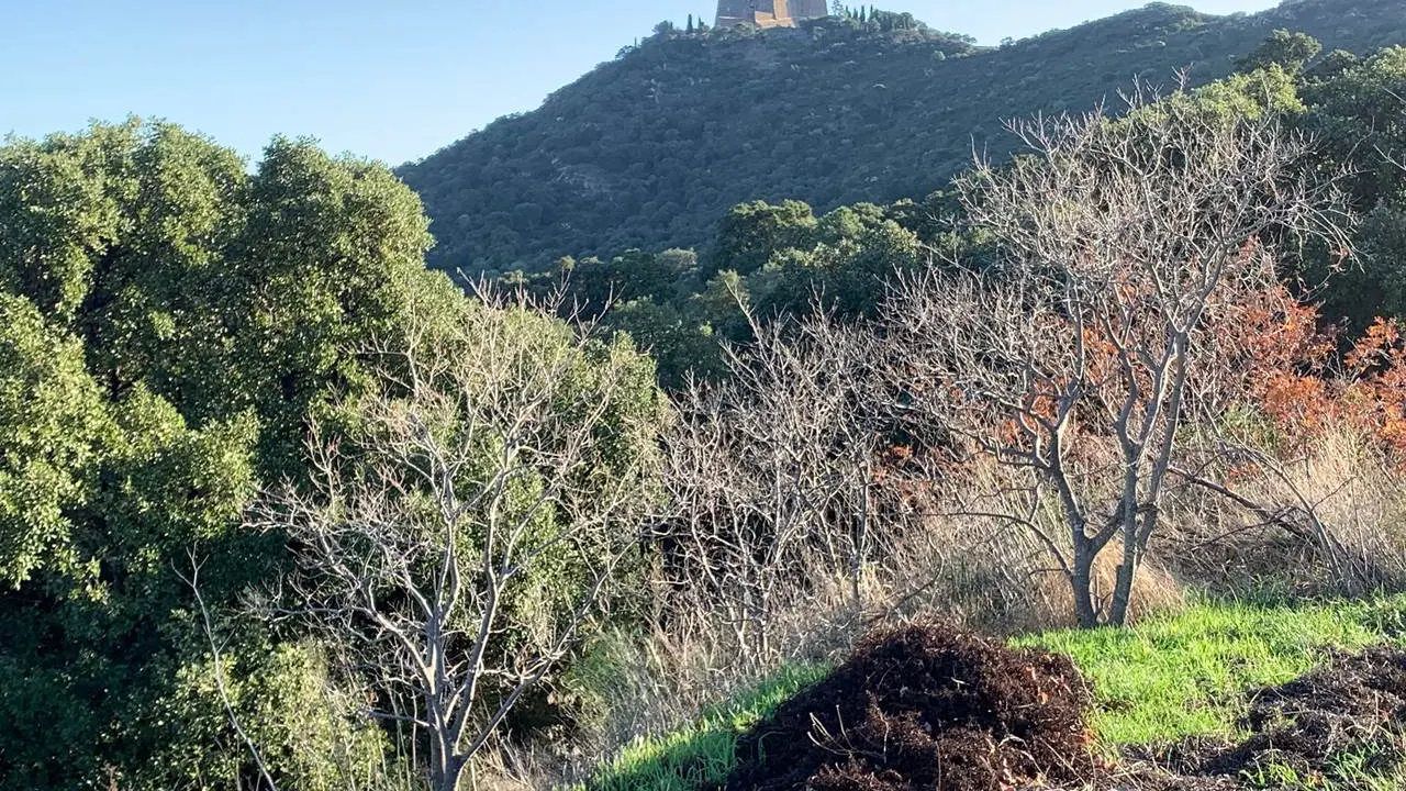 location-el-mayul-collioure-15-2