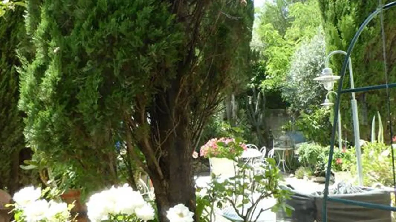 location-michelet-frere-suzanne-collioure-15