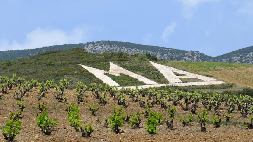 maury_marque_gnante_du_mas_amiel