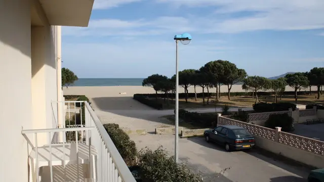 mer1