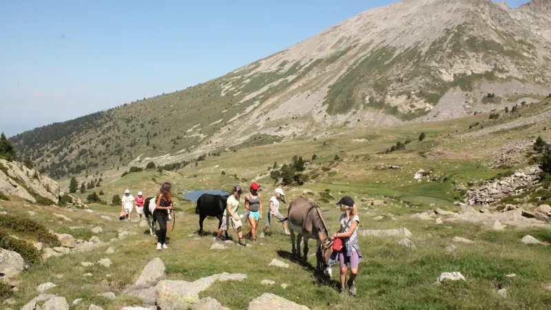 montagne vibration 1