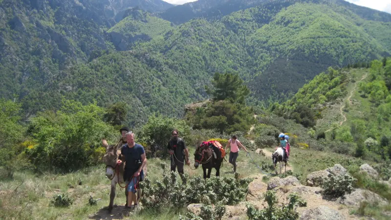 montagne vibration 11