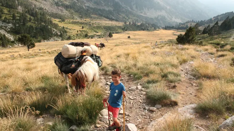 montagne vibration 12