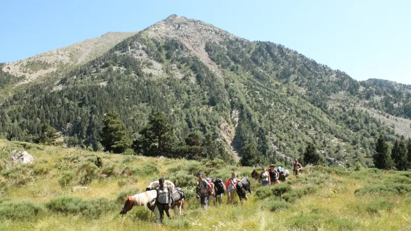 montagne vibration 13