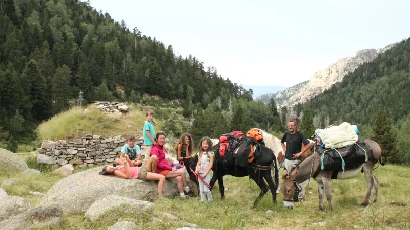 montagne vibration 15