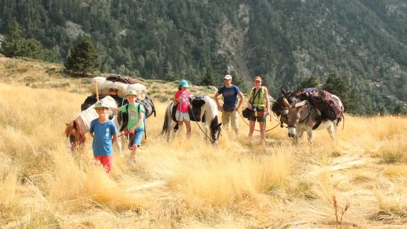 montagne vibration 2