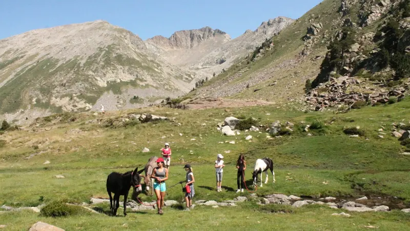 montagne vibration 3