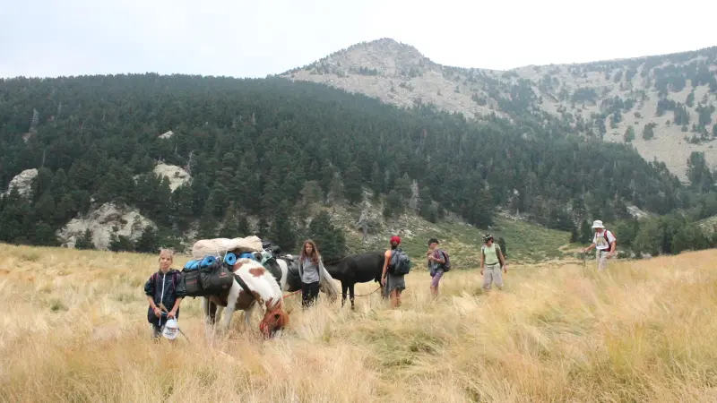 montagne vibration 5