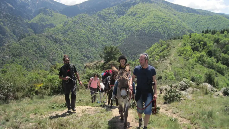 montagne vibration 6