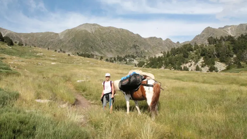 montagne vibration 9