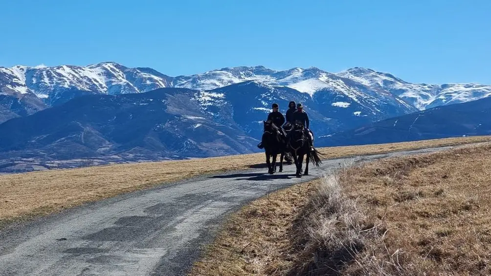 nevada mountain paddock 2