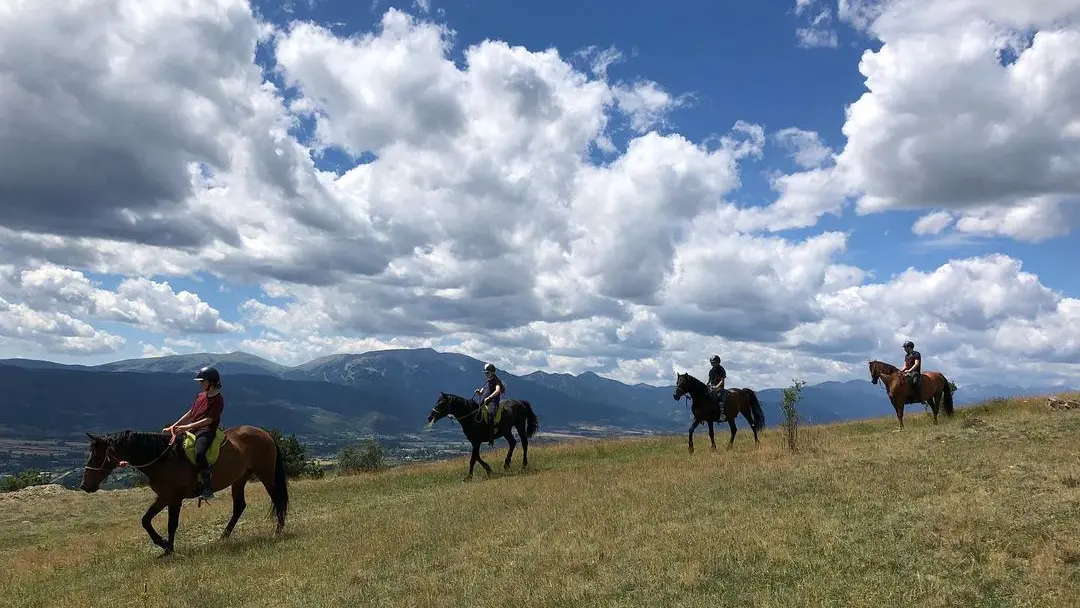 nevada mountain paddock 3