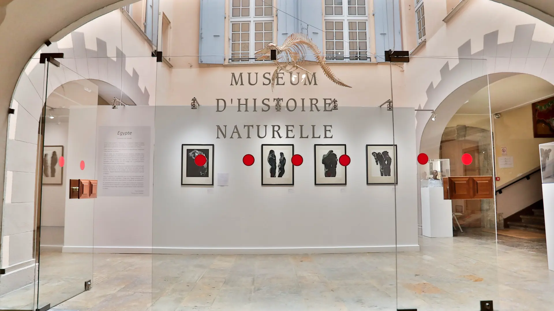 Muséum d'histoire naturelle