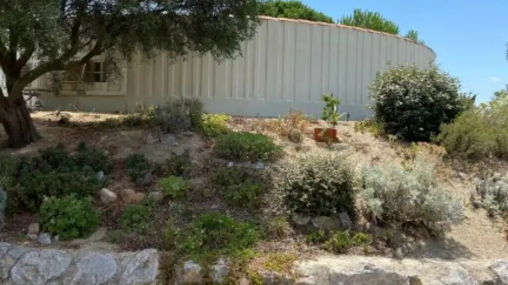 Torreilles HLO Parmentier