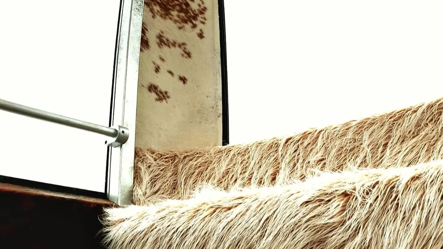 photos le chalet (5)