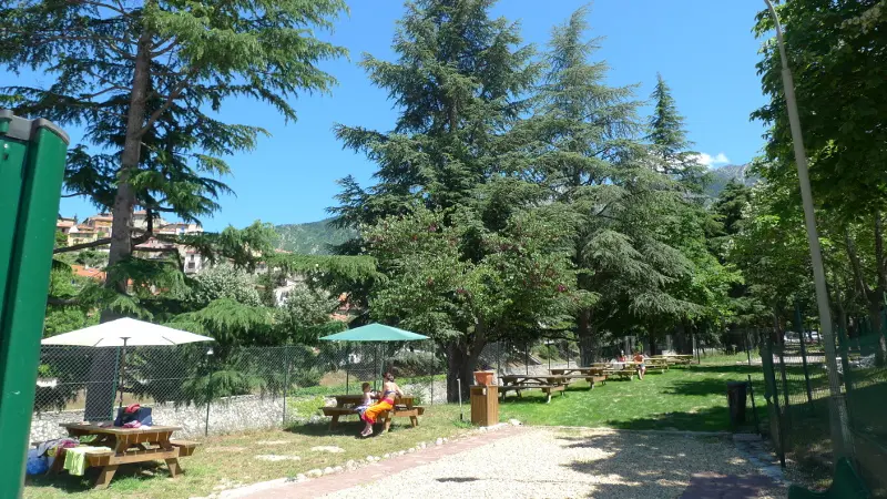 piscine de plein air, pique nique