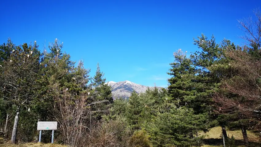Pla de la Coma, vue sur le Gallinàs et Cincreus_3