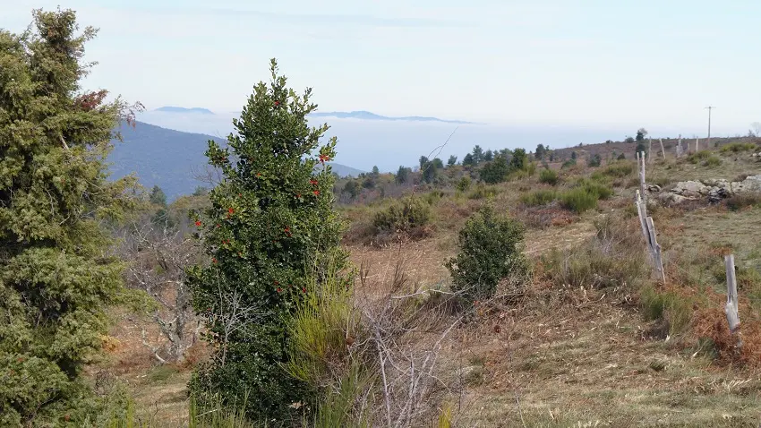 El Roquet, entre La Bastide et Saint Marsal_4