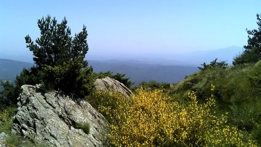 Paysage depuis le Pla de les Eugues_3