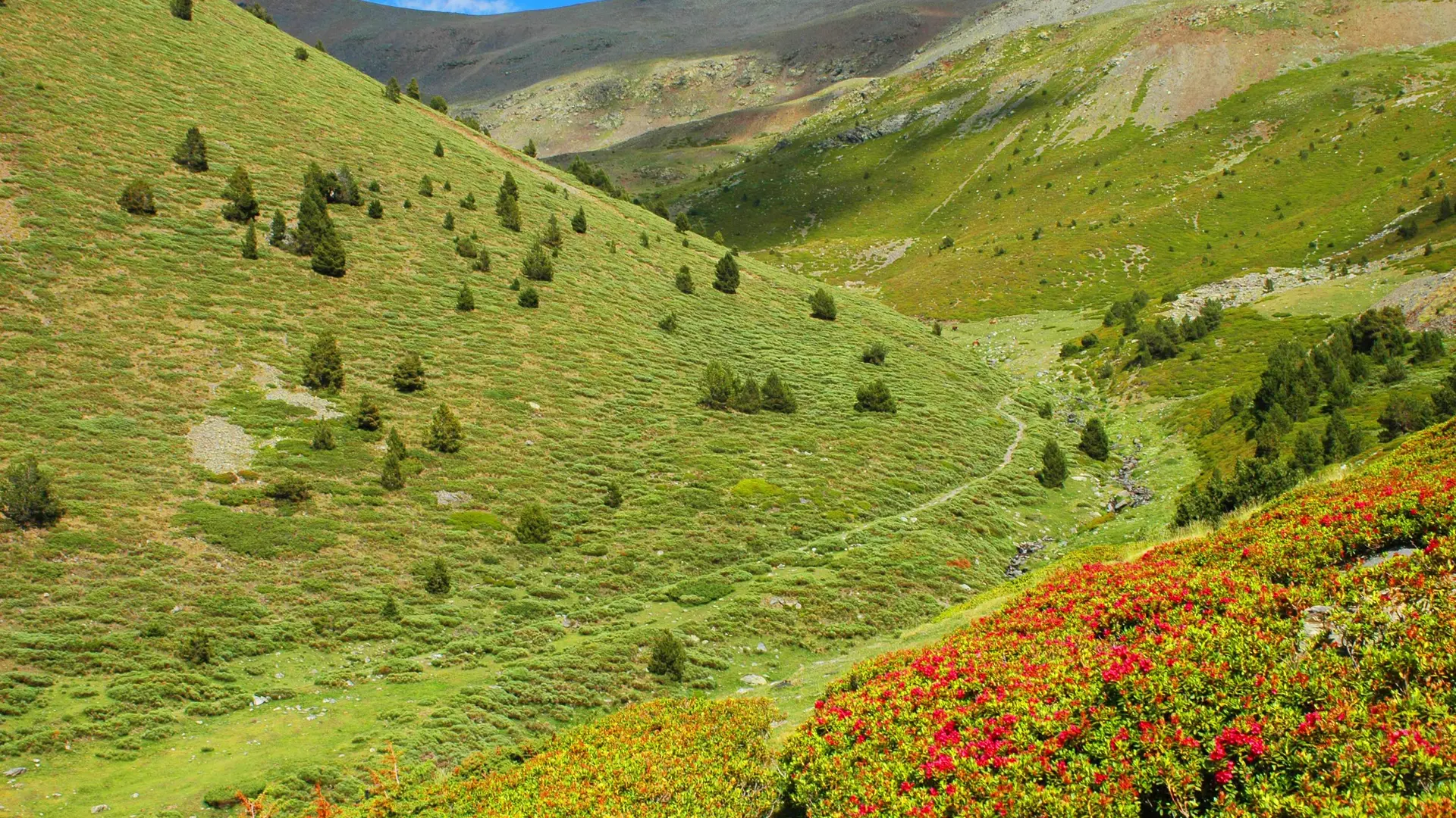 puigmal d'Err F.BERLIC