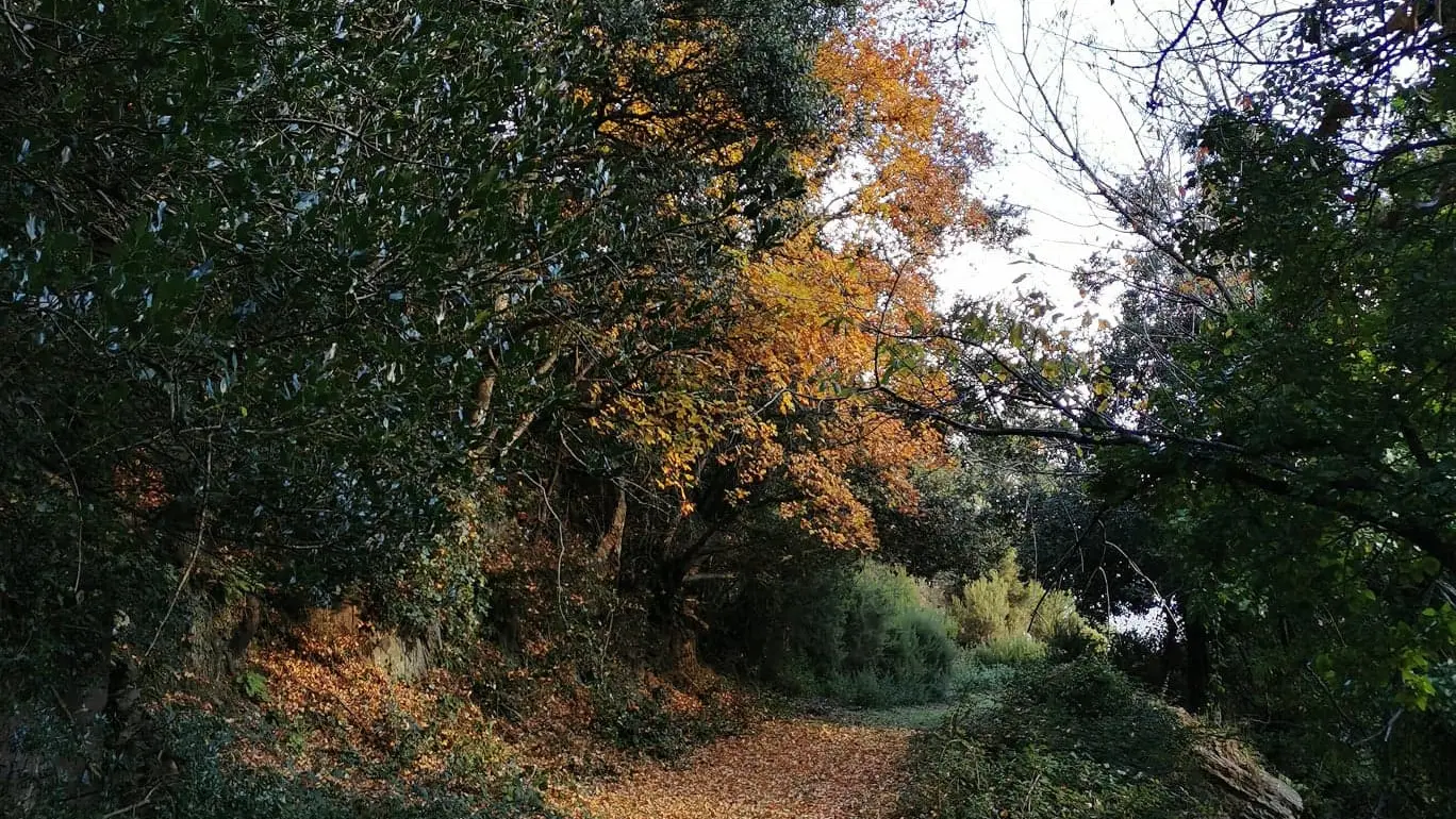 RANDO 2 FONTAINES LAROQUE