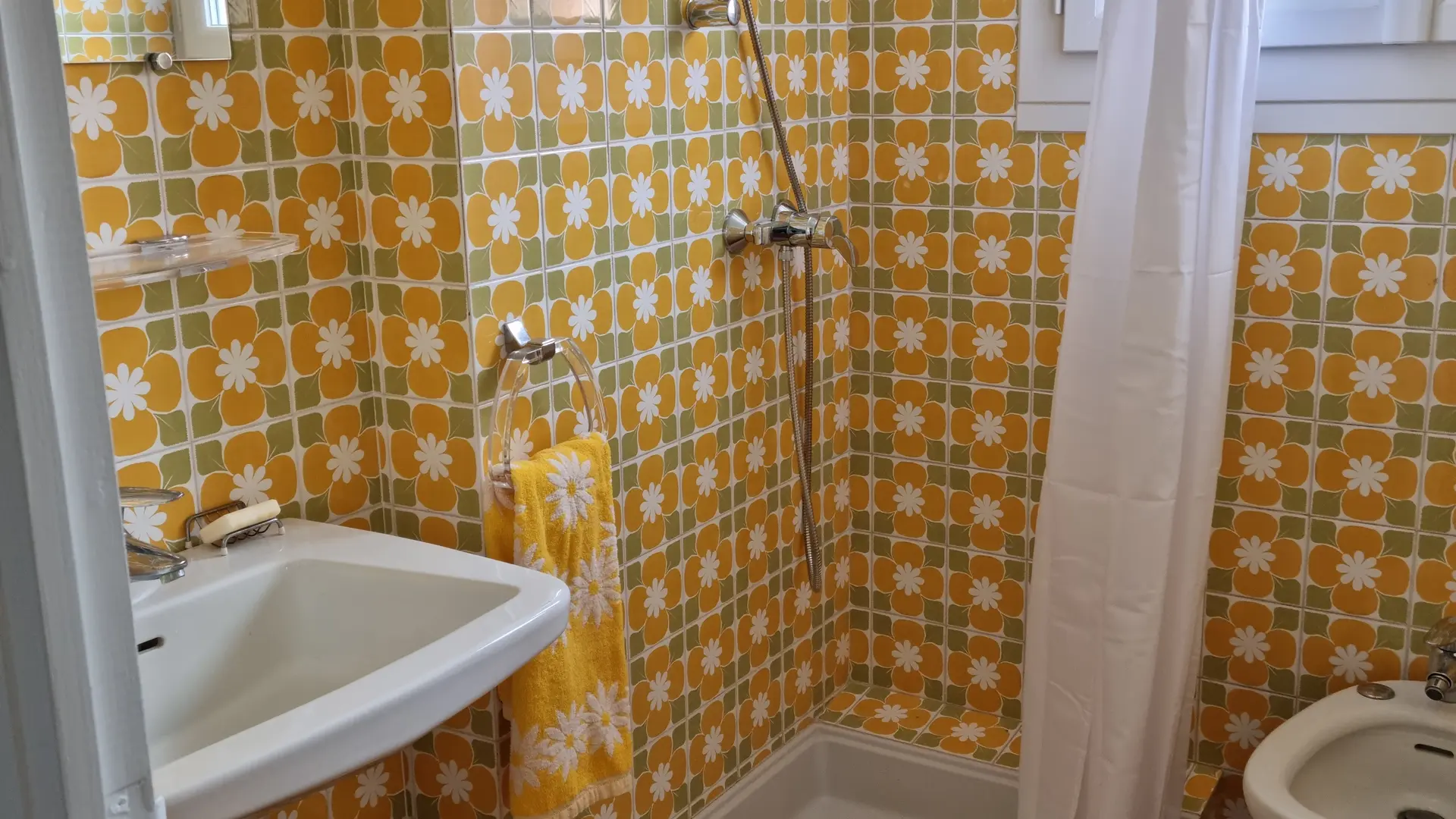 rez de jardin alenya 1