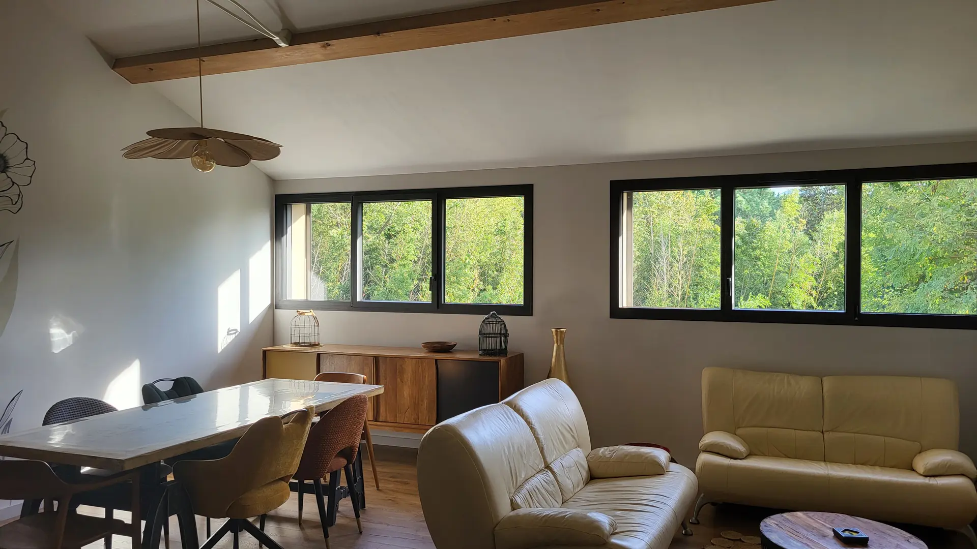 salon 2  avec lustre