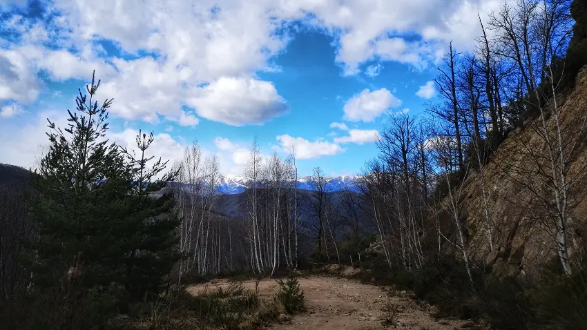 Vue sur le massif du Canigó depuis la piste_3