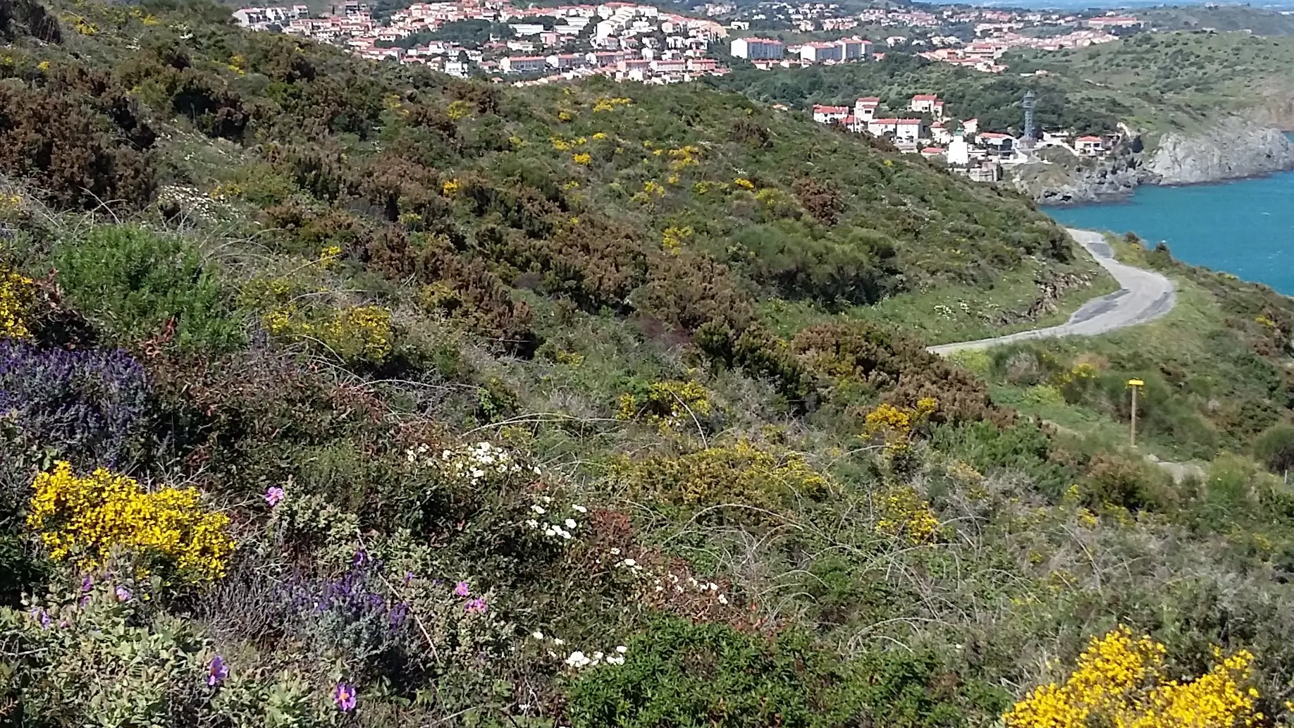 Sentier côtier (Cap Béar )