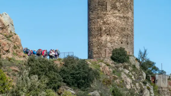 sortie_tour_de_madeloc_23_le_24_03_2016_