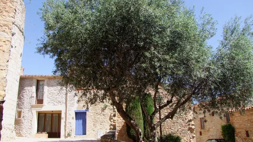 Le coeur du village_4