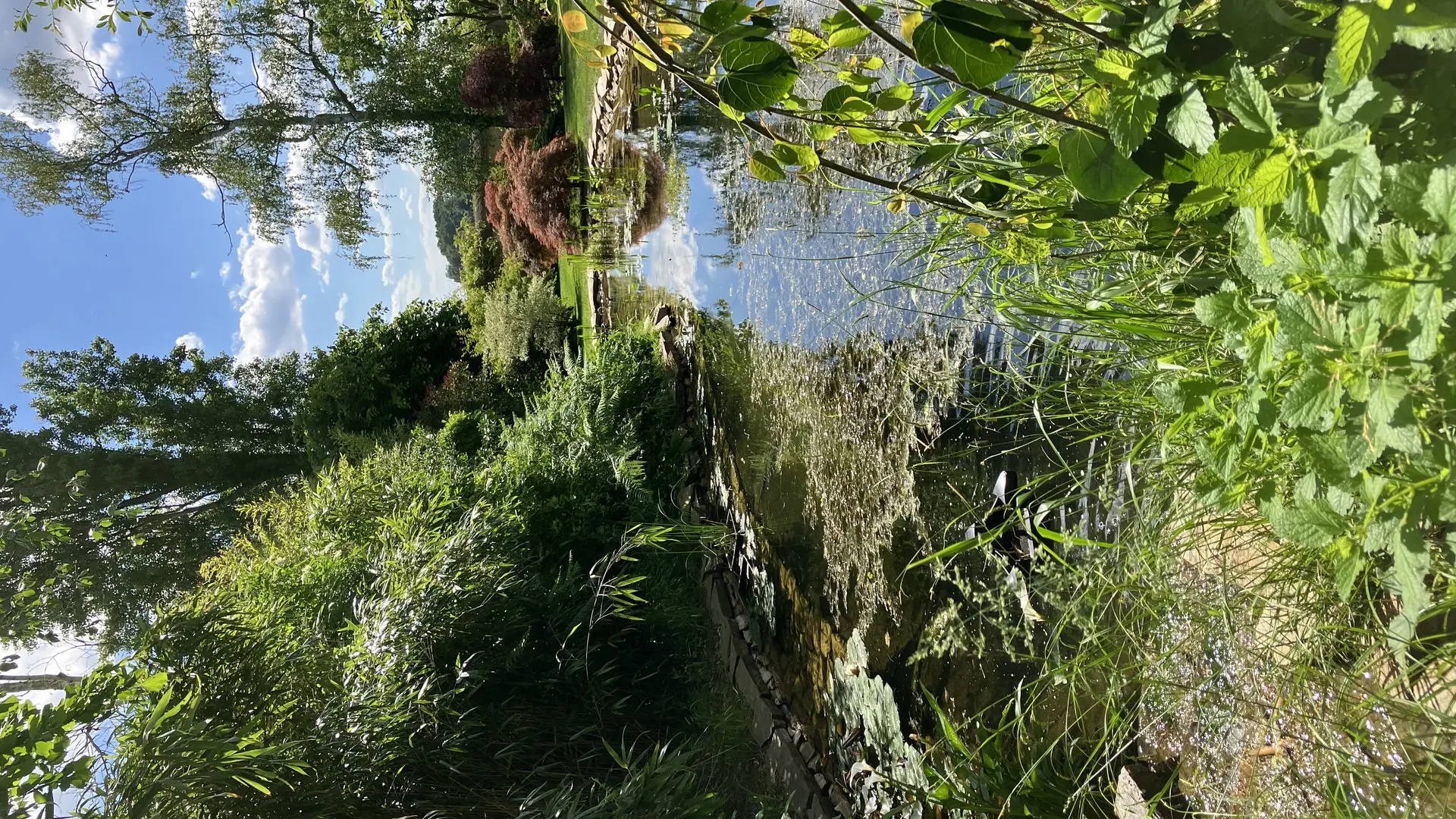 le bassin