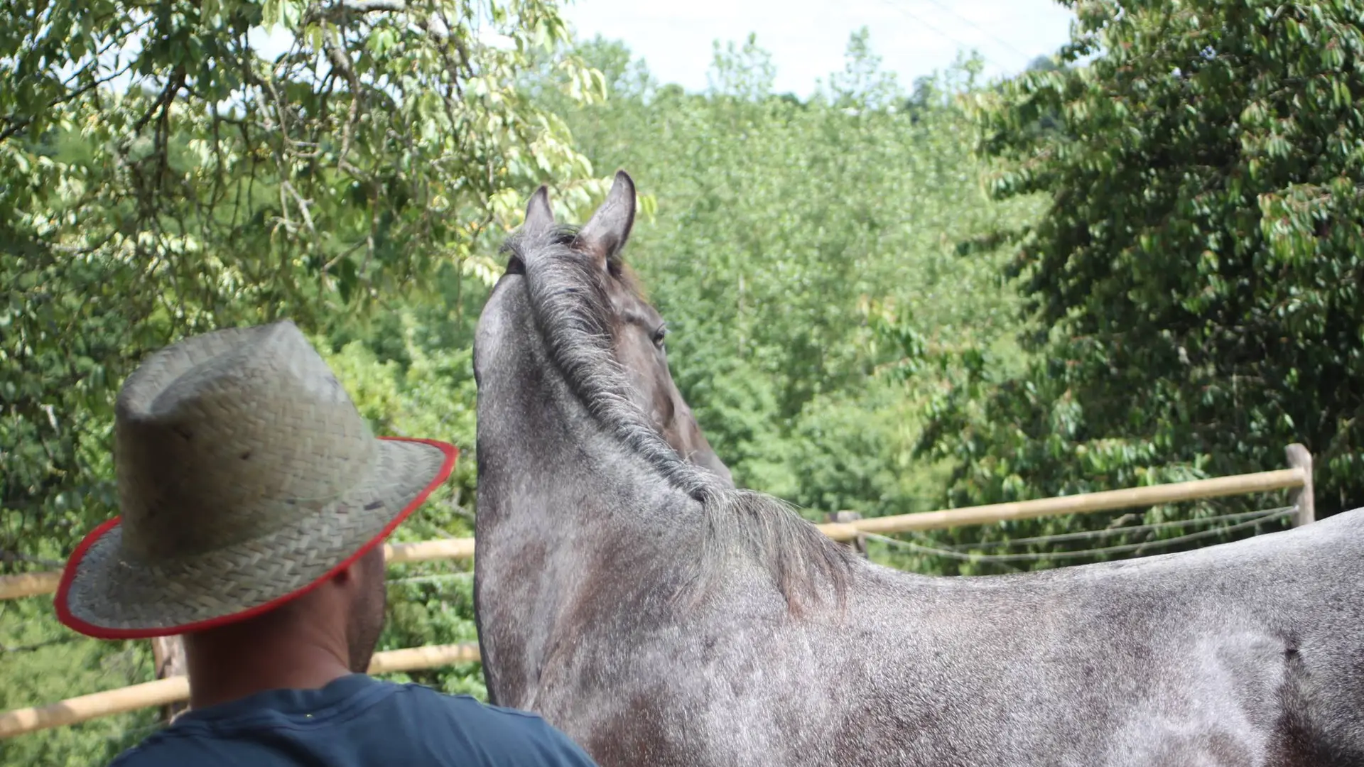 Centre Equestre du Haut Fèvre