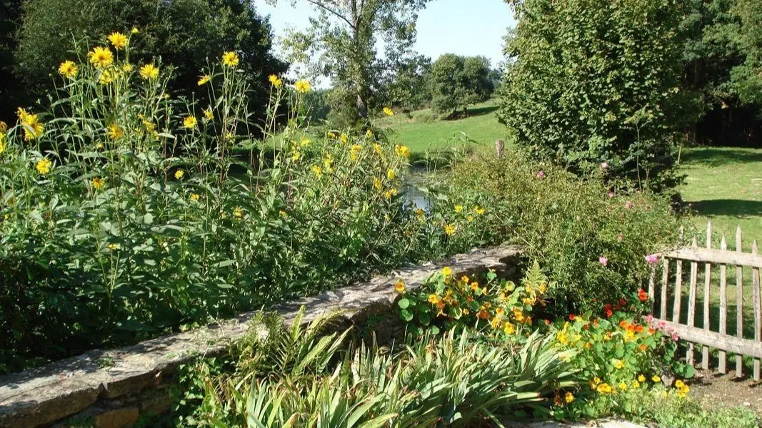 327593 - Jardin fleuri