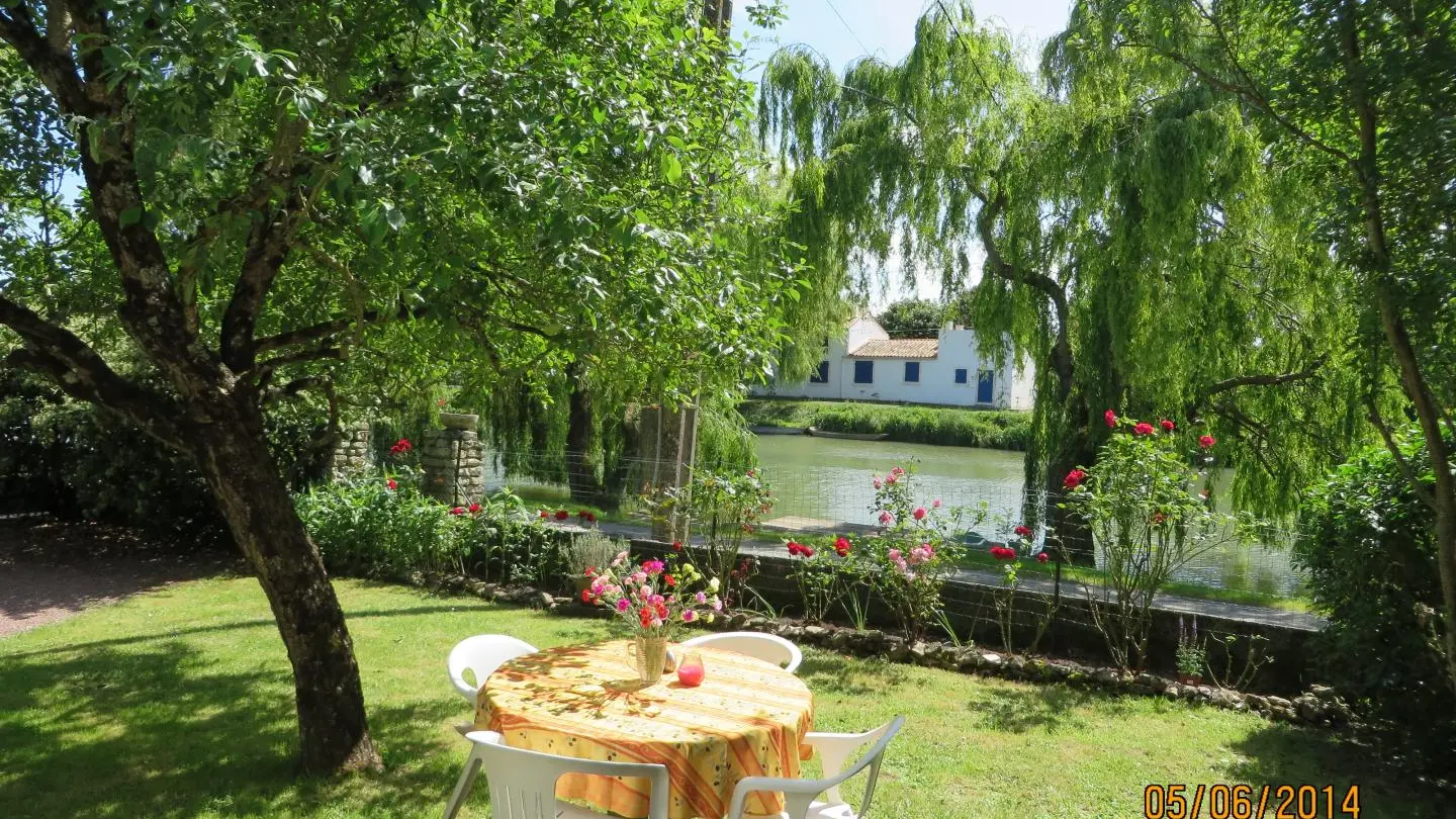 jardin et rivière